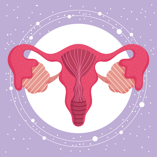 Unser Blog:  Menstruationszyklus und weitere spannende Themen