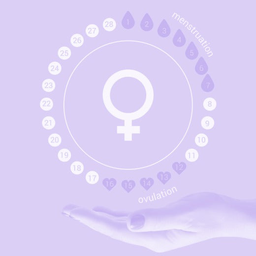 Das grosse 1x1 der Menstruation  Mymea-box